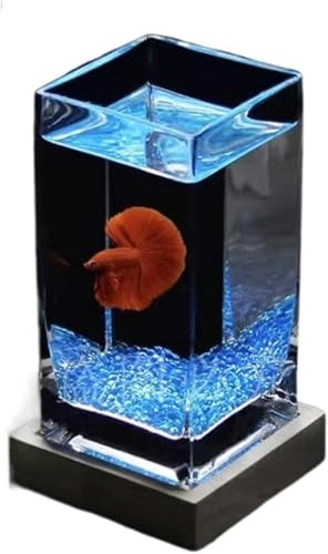 Quadratisches, hochdurchscheinendes Aquarium für Kampffische mit Holzsockel, tropisches Aquarium, verdicktes Glas, kleines Aquarium für den Schreibtisch, Aquarium-Set (Farbe: Weiß02) - Blau02 von HTDSVTD