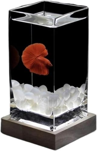 Quadratisches, hochdurchscheinendes Kampffischbecken mit Holzsockel, tropisches Fischbecken, verdicktes Glas, kleines Fischbecken für den Schreibtisch, Aquarium-Set (Farbe: Weiß02) - Weiß von HTDSVTD