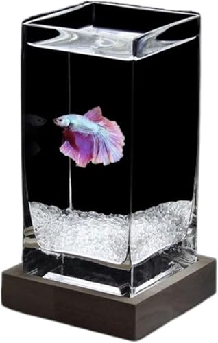 Quadratisches, hochdurchscheinendes Kampffischbecken mit Holzsockel, tropisches Fischbecken, verdicktes Glas, kleines Fischbecken für den Schreibtisch, Aquarium-Set (Farbe: Weiß02)-Weiß02 von HTDSVTD