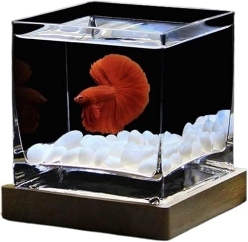 Quadratisches Aquarium mit hohem durchscheinendem Glas, Kampffischbecken mit Deckel, tropisches Aquarium, Hydrokulturvase, Blumenvase, kleine Fischbecken für den Schreibtisch, Aquarium-Set, 15 x 15 x von HTDSVTD