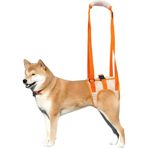 HTRTRR Tragehilfe Hund Hinten, Dog Lift Harness Tragbarer Hebeband-Tragegurt Helfen Sie Hunden Mit Schwachen Hinterbeinen, für Verletzte Behinderte Kleine, Mittlere und Große Hunde (XL) von HTRTRR