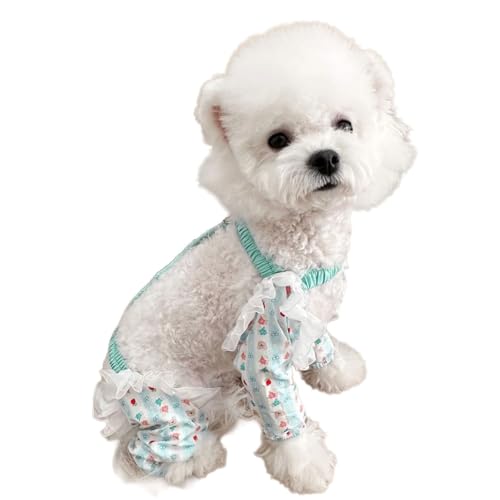 HUAANYA Staubdichtes Schutzbein Bedeckt Hosen Für Hundeblaue Beinbein Atmungsaktive Gehensausrüstung Freien Freien HUAANYA Staubdichtes Schutzbein Bedeckt Hosen Für Hundeblaue Beinbein Atmungsaktive Gehensausrüstung Freien Freien von HUAANYA
