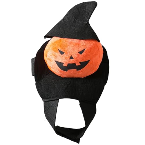 HUANGGG Hunde-Outfit, Kostüm, Kleid, Halloween, Tier, weiches Kostüm, Kürbismantel, Thema, Cosplay-Zubehör von HUANGGG