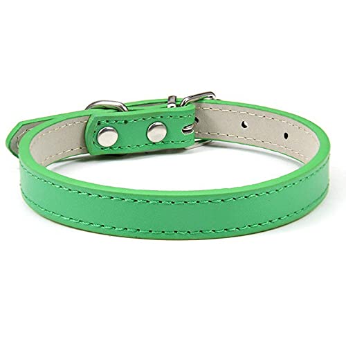 1 STÜCK Beliebte verstellbare Bunte Haustierhalsbänder Kätzchen Katzenhalsband PU-Leder-Halsband für Hunde Weicher Heimtierbedarf,grün,1.0S von HUANSUN