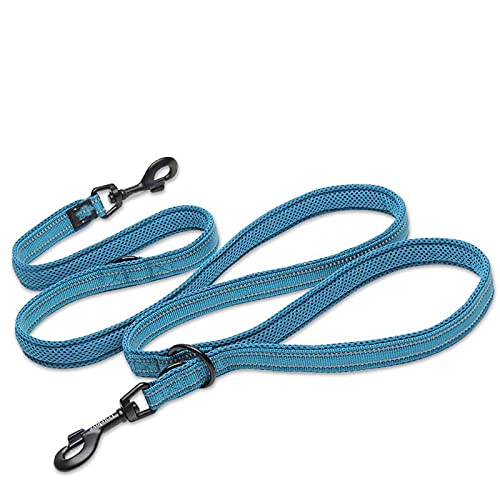 7 in 1 Multifunktions-Einstellbare Hundeleine Handfreie Haustier-Trainingsleine Reflektierende Mehrzweck-Hundeleine Walk 2 Hunde,Blau,M (2cmX200cm) von HUANSUN