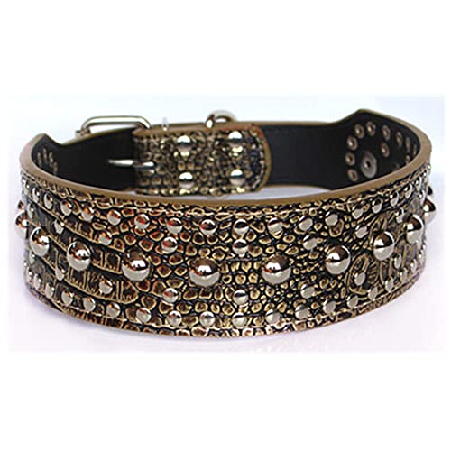 Dog Accessorios Verstellbare Lederhalsbänder Rivet Mushroom Studded Stilvolles und modisches Erscheinungsbild Halsband,Goldbraun,M von HUANSUN