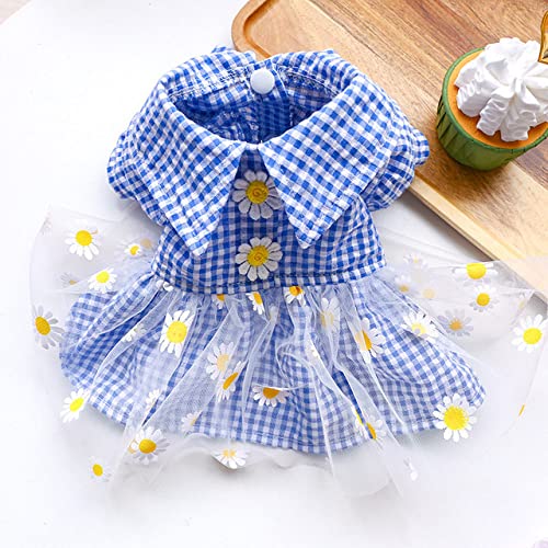 Gänseblümchen Gaze Rock Hundekleidung Kariertes Kleid Hundekleidung Haustier Outfits Niedlicher Frühling Sommer Yorkies Print Blau Mädchen,1,XL von HUANSUN