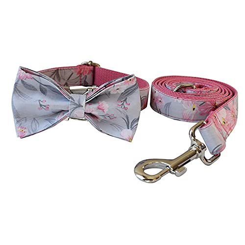 HUANSUN Hundehalsband und Hundeleine Automatisch einziehbares Combo Set Halsbänder Bowknot Hundehalsband Katzenzubehör,Schleifenhalsband Leine Set,S von HUANSUN