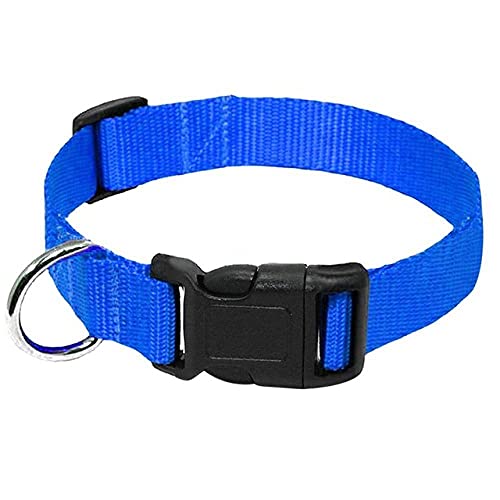 HUANSUN Nylon Gurtband Hundehalsband Heavy Duty Clip Schnalle Haustierhalsband für kleine mittelgroße Hunde Hund Rot Schwarz Blau Lila,Blau,S von HUANSUN