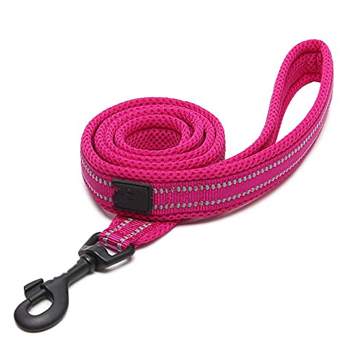 HUANSUN Weiche Hundeleine in Geschirr und Kragen Reflektierendes Nylon Mesh Walking 11 Farbe 200cm,Fuchsia,L 2.5cmX200cm von HUANSUN