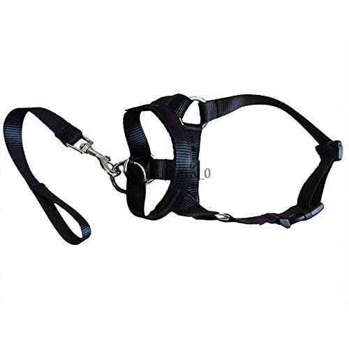 Halsband Gentle Leader Harness Nylon Breakaway All Seasons Nützliches Geschirr,Schwarz,XXL von HUANSUN