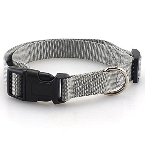 Haustier-Hundehalsband Klassisches Polyester-Nylon-Hundehalsband mit Schnellverschluss-Schnalle passt zum Leine-Geschirr, Lila, xs von NC