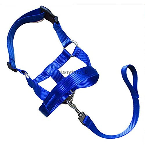 Head Collar Gentle Leader Harness Nylon Breakaway All Seasons Nützliche Geschirre,Blau,L von HUANSUN