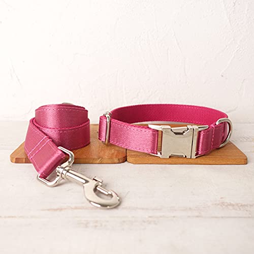 Hübsches Haustier Hundehalsband Leine verstellbares Welpenhalsband 5 Größen,Hundehalsband Leine Set,L von HUANSUN