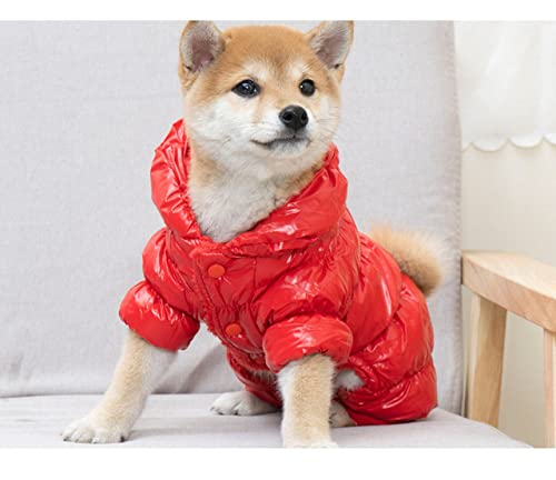 Hundebekleidung Winter Dick Warm Haustier Hund Daunenjacke Corgi Kleine Hunde Haustierkleidung Hund Baumwollmantel Overall für Hunde Welpenkleidung,rot,XXL von HUANSUN