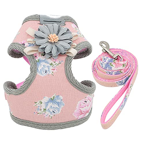 Hundegeschirr Leine Set Fashion Lovely Floral Breathable Adjustable Cat Harness Weste für kleine mittlere Hunde Katzenleinen Outdoor,Rosa,1 von HUANSUN