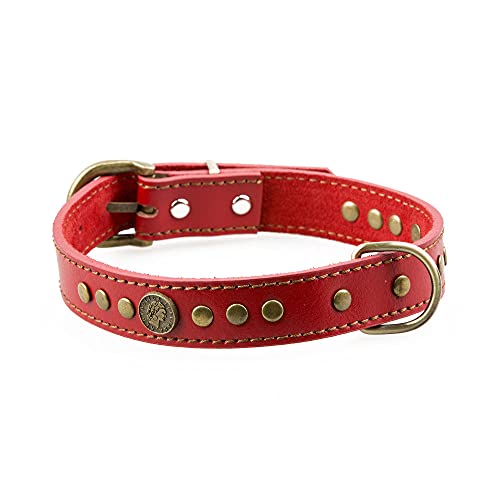 Hundehalsband Leder Retro Style Pilznieten besetzt für Chihuahua Haustierprodukte Hundezubehör,rot,S von HUANSUN