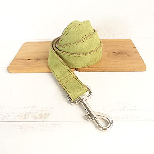 Hundehalsband Poly Satin und Nylon gelb grün und braun 5 Größen Hundehalsband und Leine,Hundeleine,XL von NC
