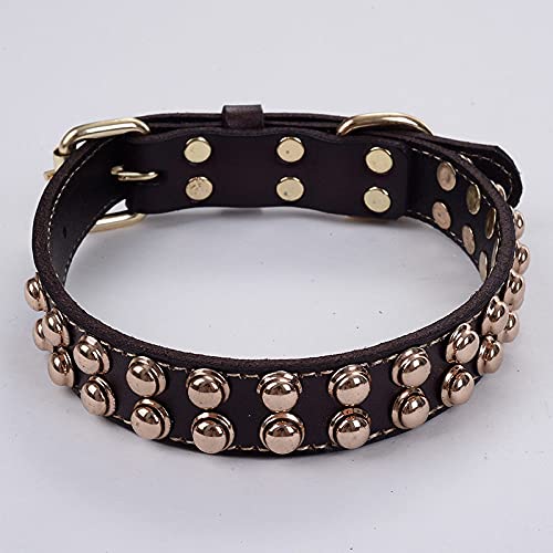 Hundehalsband Retro Goldene Niete Nieten Leder Hundehalsband Hundelätzchen Hundeleine für kleine mittelgroße Hunde mit Spikes Halsband,Kaffee,M von HUANSUN