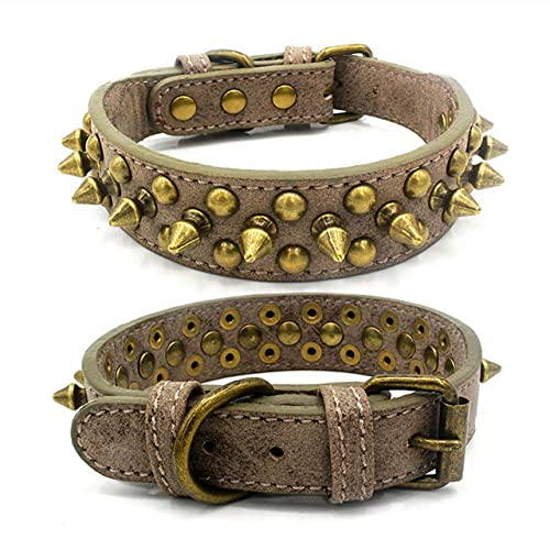 Hundehalsband Retro Goldene Nieten Nietenbesetztes Lederhalsband für kleine mittelgroße Hunde mit Dornenhalsband,C,XL von HUANSUN