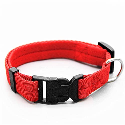 Hundehalsband Verstellbares Hundehalsband für kleine und große Hunde Hundehalsband aus Nylon,rot,L von HUANSUN