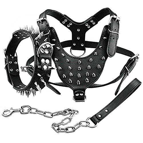 Hundehalsband mit Spikes Nietenbesetztes Leder Hundehalsband 3er Set Walking für mittelgroße Hunde,Schwarz,M von NC