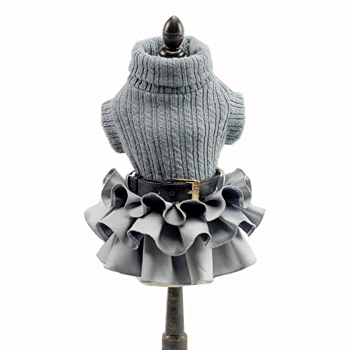 Hundekleider Mantel Herbst Warmer Rollkragen Strickpullover Top Katze Tutu Rock Kleidung für kleine Hunde XS SML XL,grau,L von HUANSUN