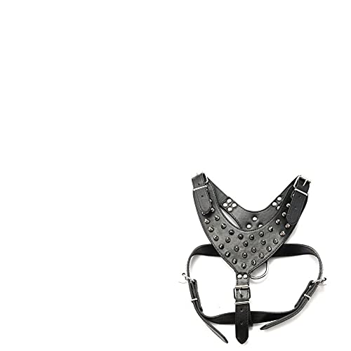 Kragen Verstellbare Spike Nieten Nieten PU Leder Hundegeschirr Laufhalsband Leine,Schwarz,L von HUANSUN