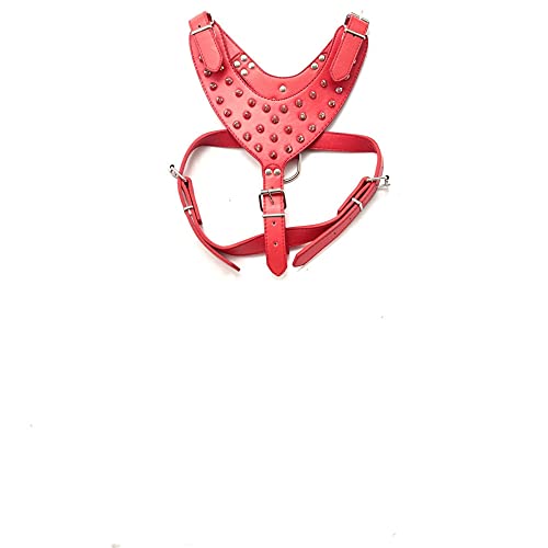 Kragen Verstellbare Spike Nieten Nieten PU Leder Hundegeschirr Laufhalsband Leine,rot,L von HUANSUN