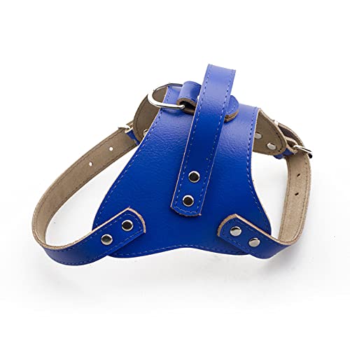 Leder Hundegeschirr Cool Small Medium Dogs Brustgurt Starke Professionelle Hundeweste Pet Products,Blau,XL von HUANSUN