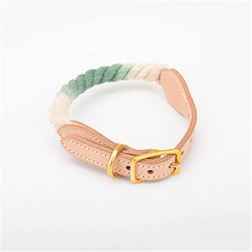 Leder Hundehalsband Rainbow Woven Cotton Traction Rope Small Medium Large Card Hunde und Katzen,als Bild1,XL von NC