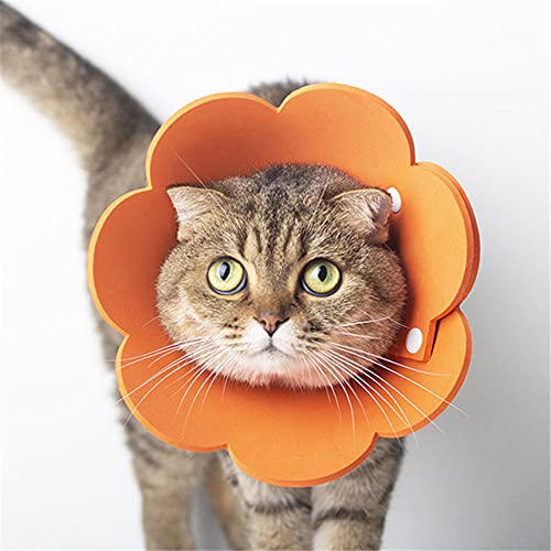 Pet Circle Collar Katze Sonnenblume Handtuch Filz Tuch Katzenhalsband Recovery Sleeve,orange,M von HUANSUN