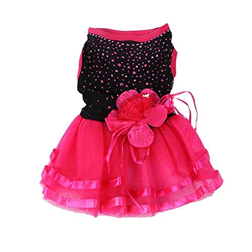 Pet Dog Rose Flower Gaze Dress Rock Puppy Cat Princess Kleidung Bekleidungskleid für Hunde Hundekostüm Pet Kleidung XS/S/M/L,L von HUANSUN