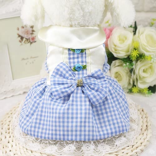 Pet Kleider Spitze Hochzeit Bowknot Sweety Rock Kleider für kleine mittelgroße Hund Katze Welpen Kleidung,Modell 4,L von HUANSUN