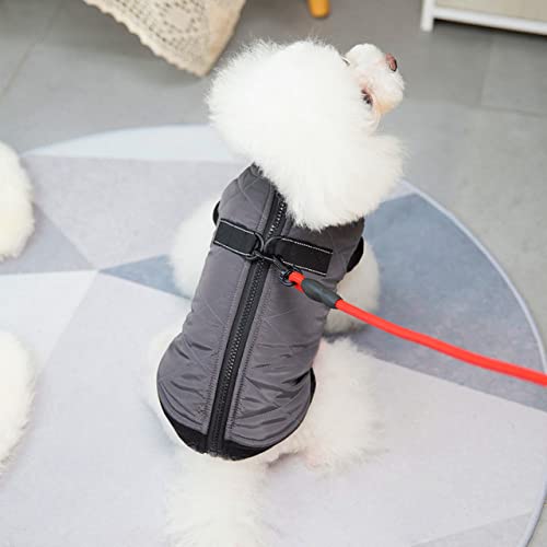 Pet Pull Button Baumwollweste Kleidung Hundekleidung Herbst- und Winterkleidung Stierkampfmantel klein Mittelgroße Hundekleidung, grau, XL von HUANSUN