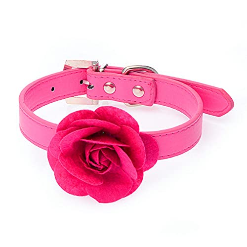 Pu-Leder Hundehalsband Rose Flower Pet Halskette mit Assort Tow Chain,Rose Rot,S von HUANSUN