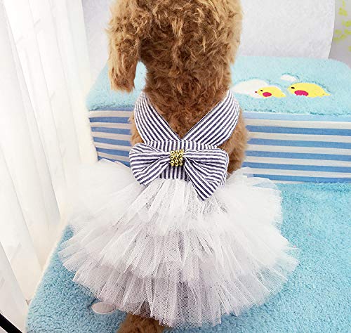 Schleife Hochzeitskleid für Hund Haustier Frühlingsmode Hundebekleidung mit kleinen Hunden Haustierkleidung für Rock Puppy Princess Teddy, Kleid und Haarspange1,XXL von HUANSUN