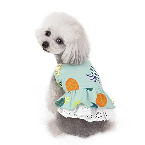 Sommer Ananas Welpen Hund Katze Kleider für Chihuahua Kleidung Weiche Baumwolle Haustierkleidung für Hunde Katzen Haustiere Rock Kleid,Grünes Kleid,L von HUANSUN