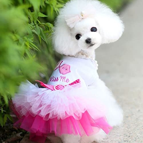 Sommer Spitze Puffy Prinzessin Kleid Print Obst Baumwollkleid Für Kleine Mittlere Hunde Weicher Hochzeitsrock Dot Bowknot Mesh Pet Kleidung,A1,S von HUANSUN