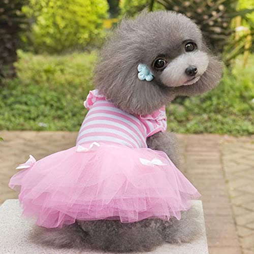 Süße gestreifte Schleife Hundekleid Röcke Mesh Spitze Schleife Knoten Prinzessin Kleid Kleidung für kleine mittlere Hunde Welpen Kostüme Chihuahua,Rosa,xs von HUANSUN