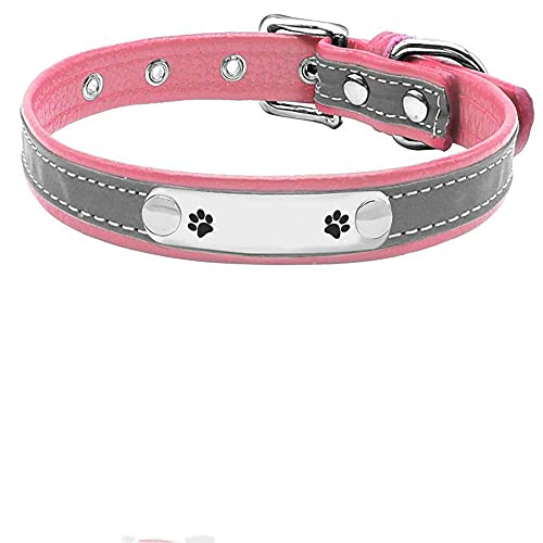 Verstellbares personalisiertes Hundehalsband aus Leder Puppy XS L Welpenhalsband,J,M von NC