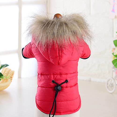 Winter-Haustier-Hundemantel-Kleidung für Hunde warm verdicken einfarbige Hundebekleidung für kleinen Hund Rot Grün große Hundejacke, rot, xs von HUANSUN