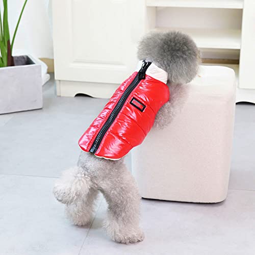 Winter Haustier Reißverschluss Baumwolle kleiden Warmer Mantel für Hunde Winterkatze Teddy Kleiner Hund Haustier Zweibeinige Kleidung,rot,S von HUANSUN