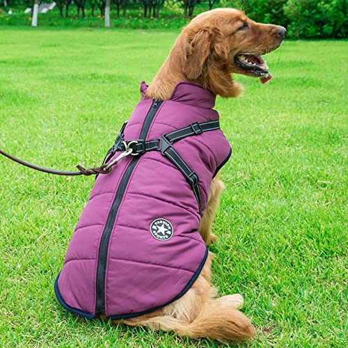 Winter-Hundebekleidung für große Hunde Jacke mit Geschirr wasserdichter Mantel Labrador Golden Retriever weiche warme Weste Bekleidungszubehör,Lila,XXL von HUANSUN