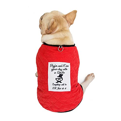 Winter Hundejacke Warme Kleidung für kleine große Hunde mit Kapuze Französische Bulldogge Mäntel Jacke Yorkshire Outfit Overall Bekleidung,rot,XXL von HUANSUN