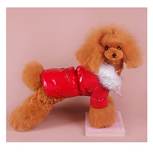 Winter Pet Puppy Hoodie Warme Kleidung Oberbekleidung PU Leder Hund Katze Mantel Jacke mit Reißverschlusstasche Design 6 Größen 3 Farben,rot,S von HUANSUN