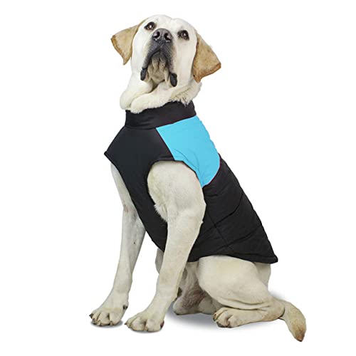 Winter Warme Hundebekleidung Haustier Gepolsterte Weste Reißverschluss Jacke Mantel Für Kleine Mittelgroße Hunde Heimtierbedarf,Blau,XL von NC