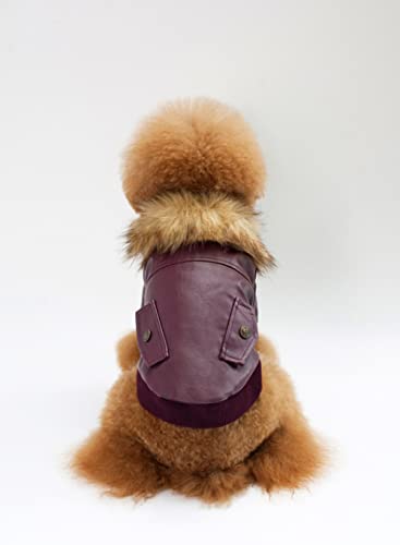 Winter Warme Hundekleidung Haustier Leder für kleine mittlere Hunde Kapuzenkleidung Leichter Hoodie,Weinrot,S von HUANSUN