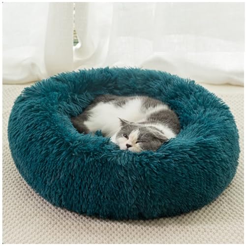 HUAXIQUE Donut Hundebett Wolke Hundebett Rund Hundekissen Plüsch Donut undekissen Waschbar Flauschig Hundematte Anti Rutsch Noppenboden 60cm Zyan von HUAXIQUE