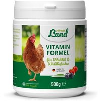 HÜHNER Land Vitamin Formel 500g von HÜHNER Land